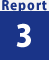 Report 3